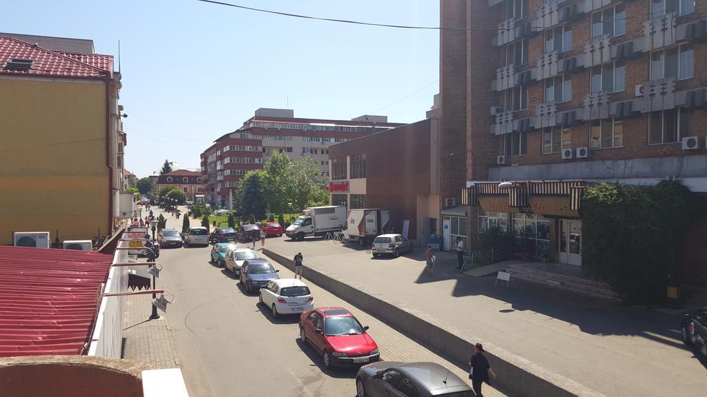 Casa Alex Hotel Târgu Jiu Стая снимка